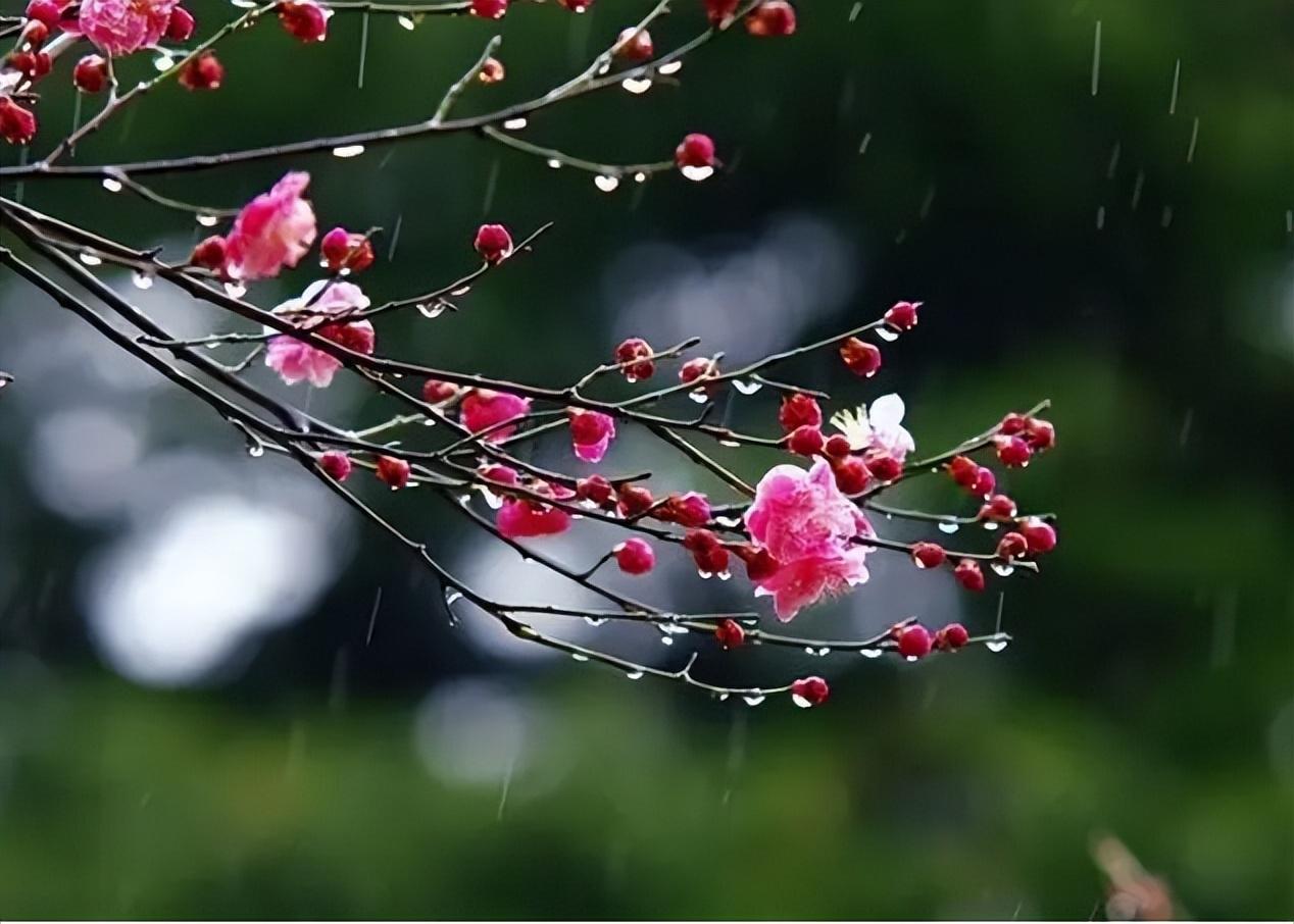 夕阳经典诗词名句（看淡辱荣和得失，高楼正对夕阳红）