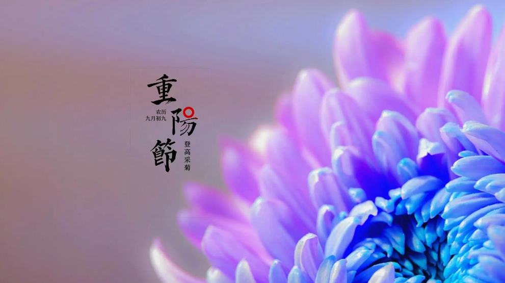 重阳节经典诗词祝福语（九九重阳节经典古诗）