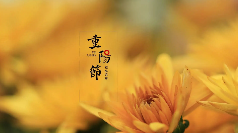 重阳节经典诗词祝福语（九九重阳节经典古诗）