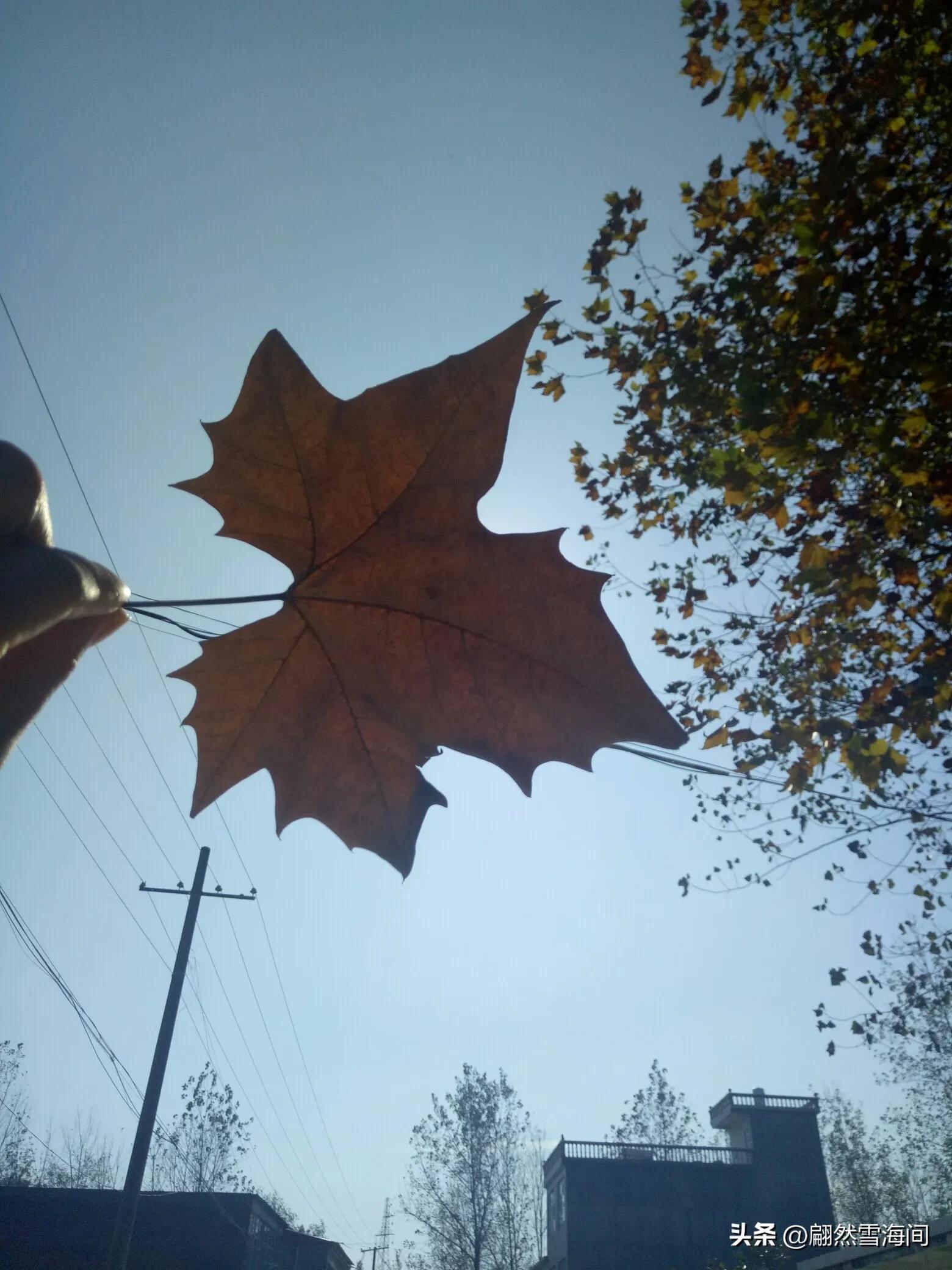 父爱是山，母爱是水（推荐6首感人的父母诗词）