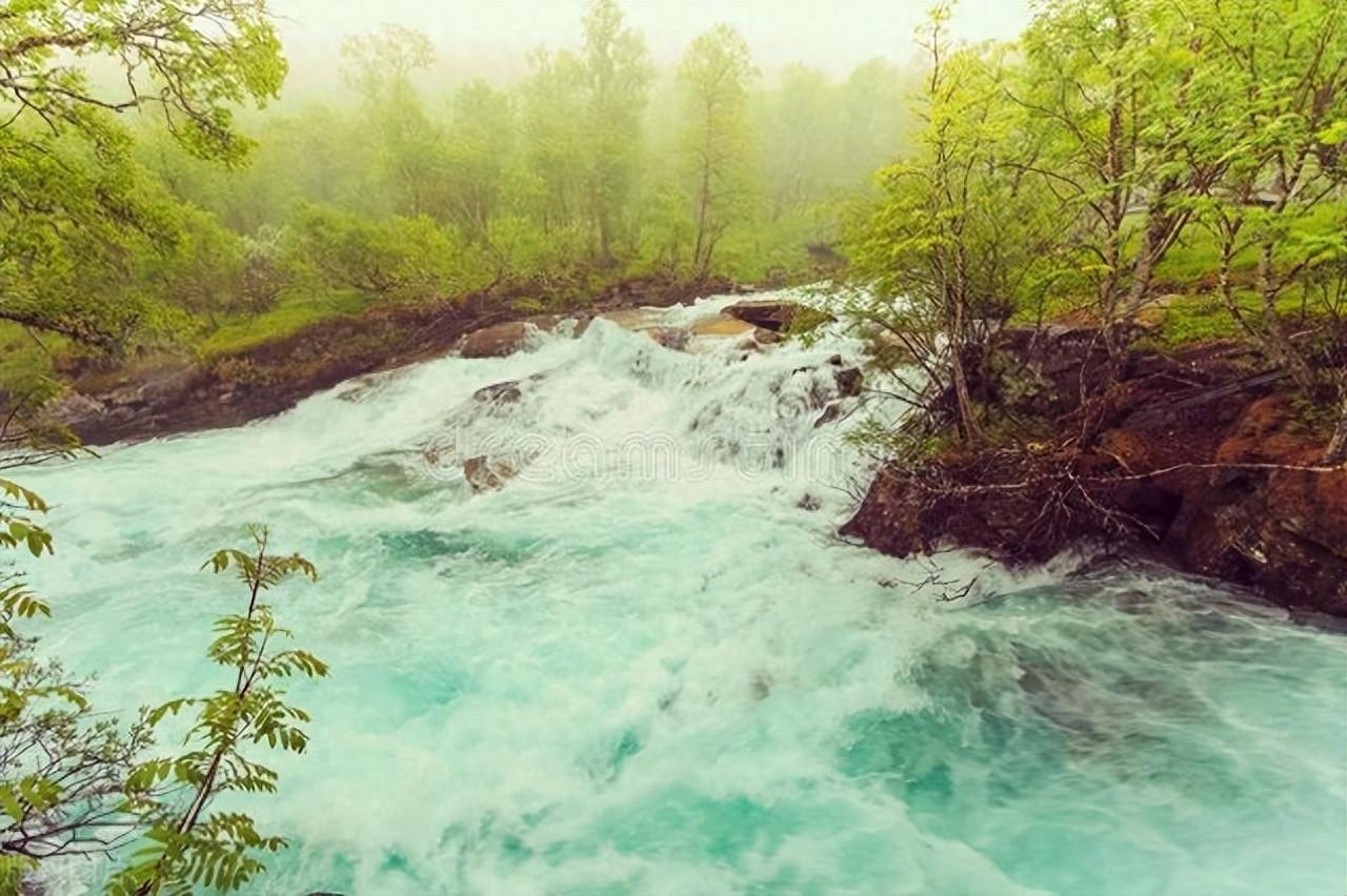 雨中精灵，活泼调皮（十首唯美山雨诗词）