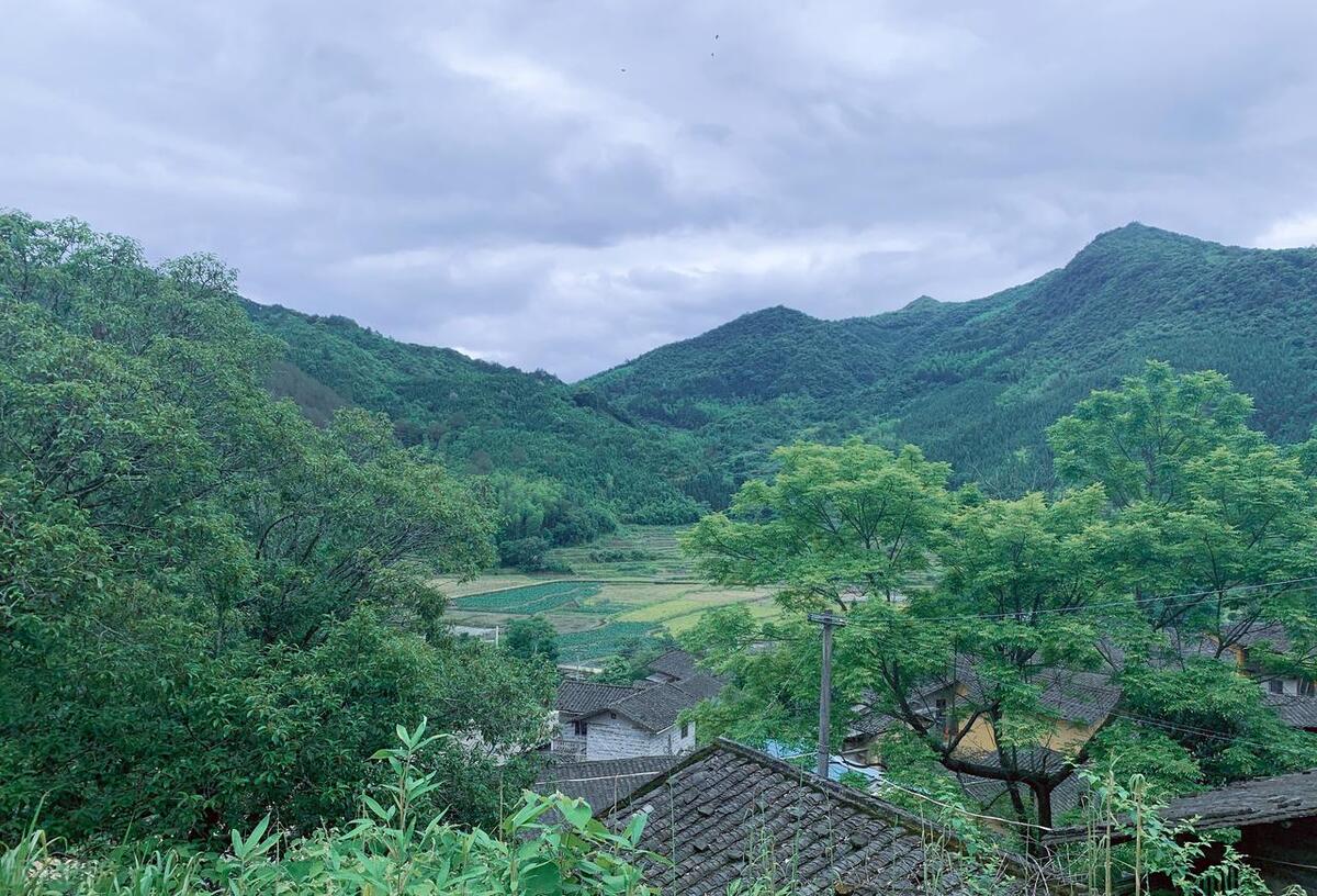 雨中精灵，活泼调皮（十首唯美山雨诗词）