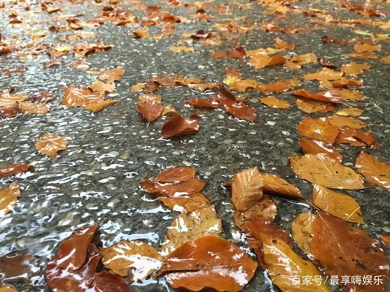 雨中精灵，活泼调皮（十首唯美山雨诗词）