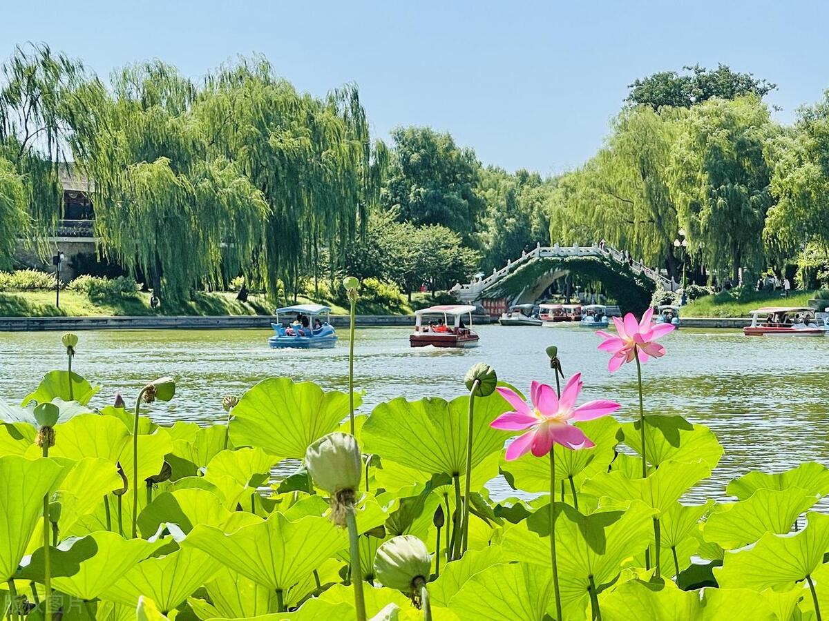 夏日古诗词有哪些（夏天优美的十二首诗词）