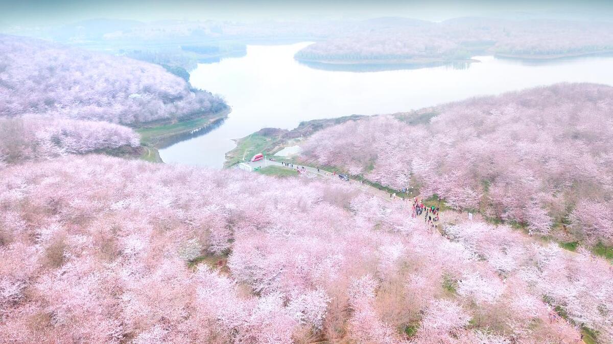 春暖花开，风光旖旎（十二首经典春游诗词）