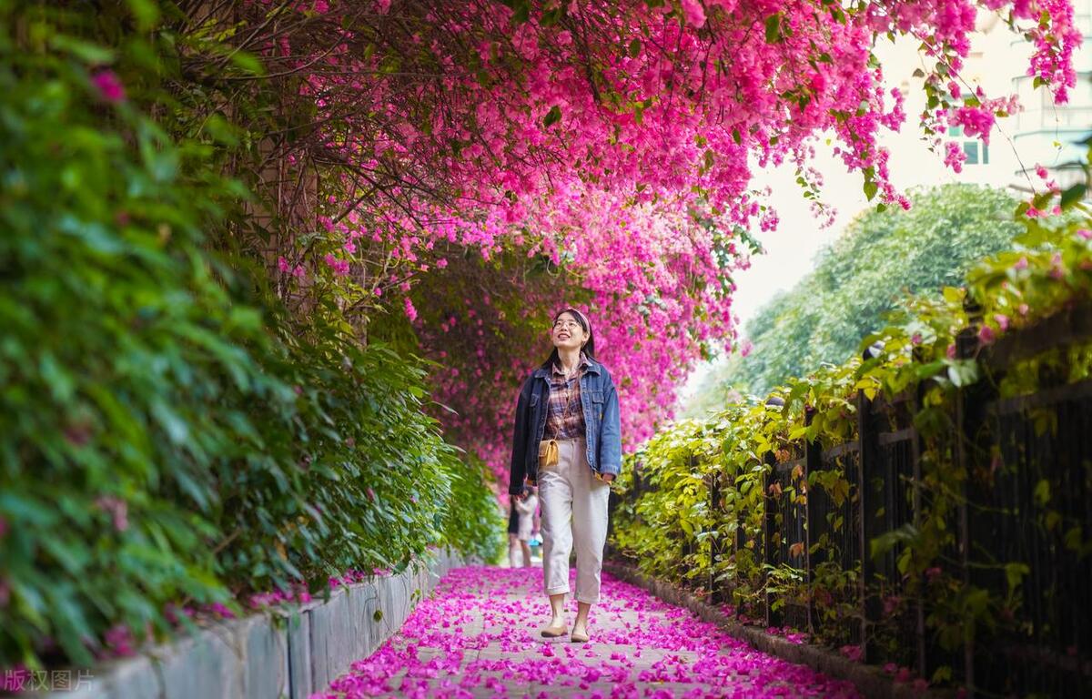 春暖花开，风光旖旎（十二首经典春游诗词）