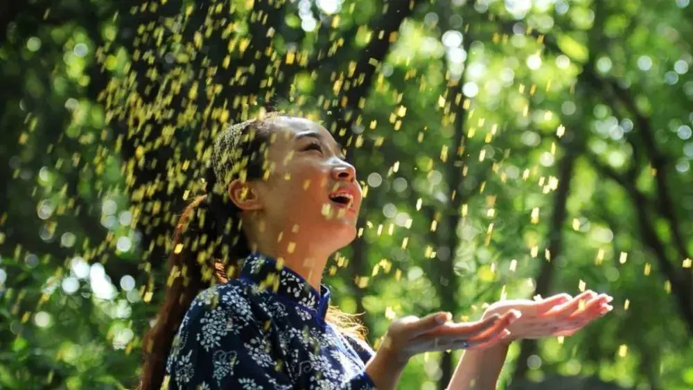 花影诗词古句有哪些（十二首经典花影诗词）