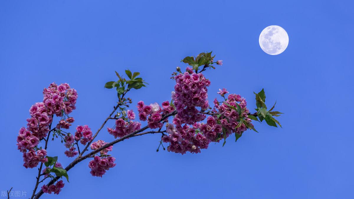 憨山大师诗词古句大全（十首憨山大师的诗词）