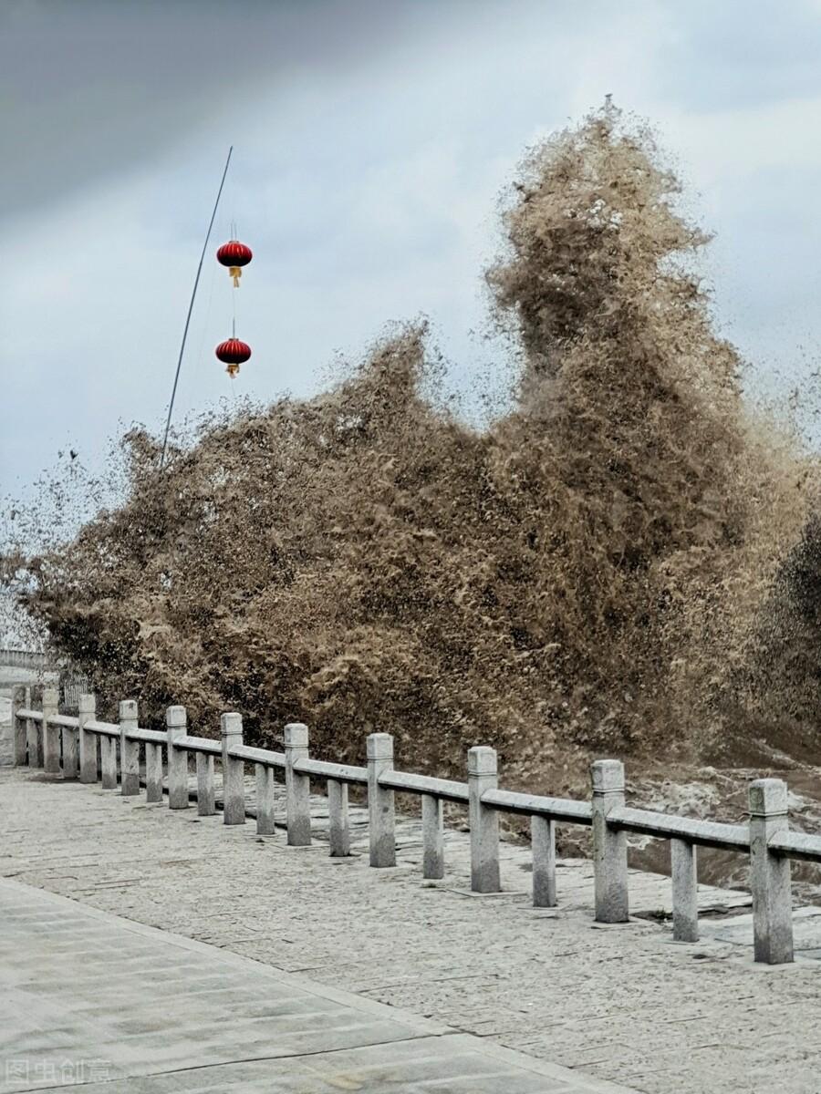 潮流诗词古句有哪些（十二首潮流诗词）