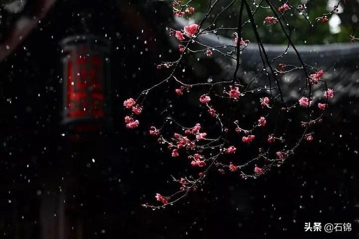 形容雪花飘落意境的诗句（七首雪景唯美诗词）