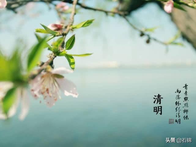 清明唯美诗词大全（八首清明经典诗词）