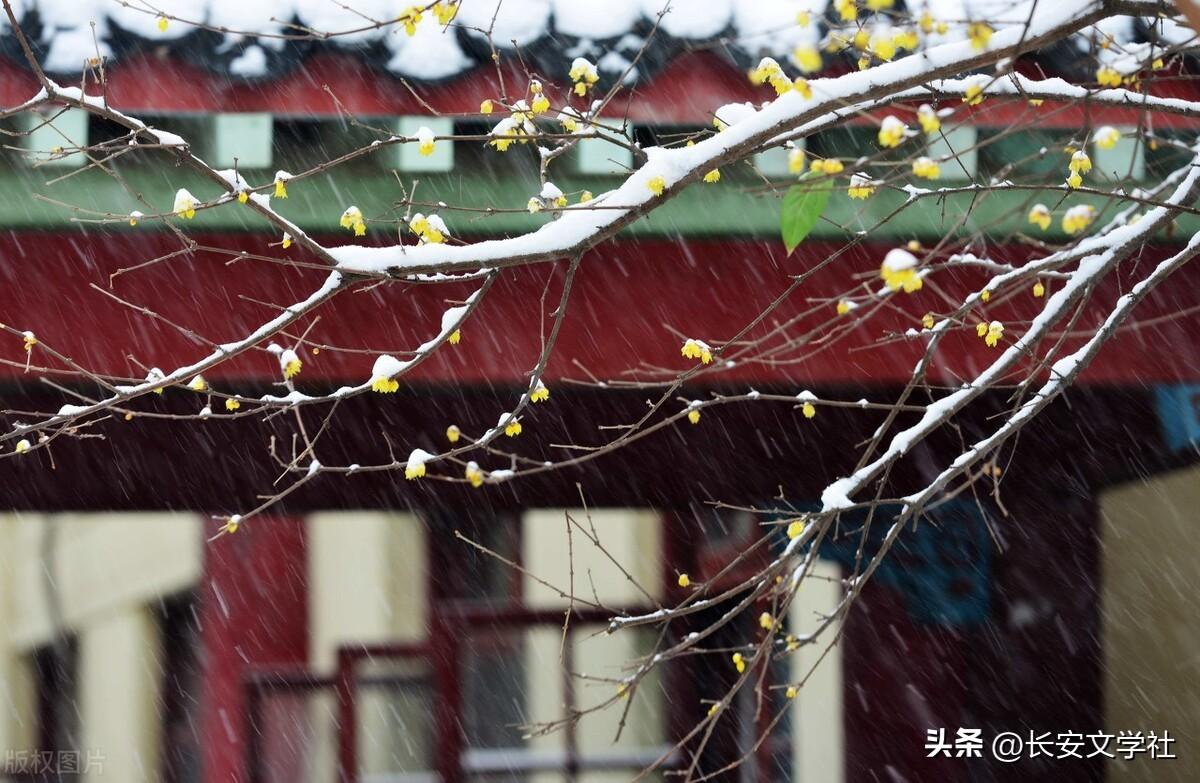 小雪祝福古诗词大全（10首小雪节气诗词）