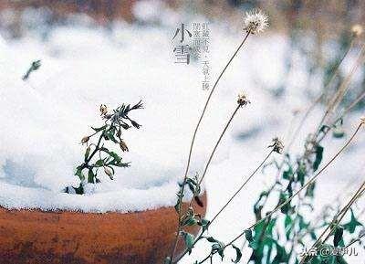 关于小雪祝福古诗词大全（优美小雪诗词）