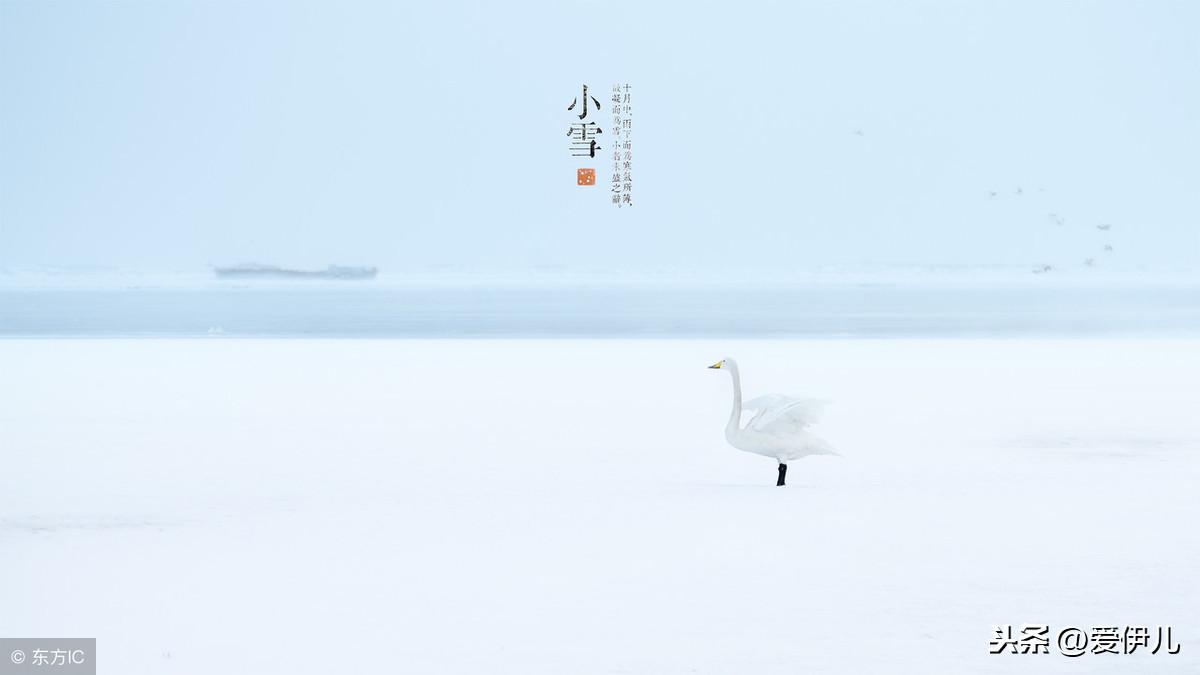 关于小雪祝福古诗词大全（优美小雪诗词）