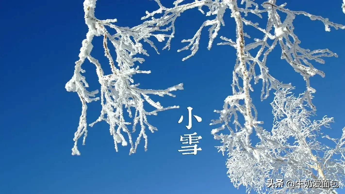 小雪祝福古诗词有哪些（6首小雪节气古诗）