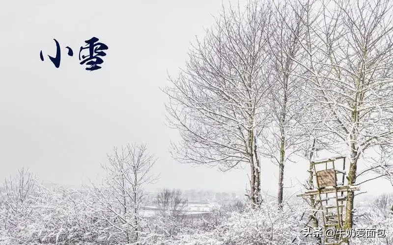 小雪祝福古诗词有哪些（6首小雪节气古诗）