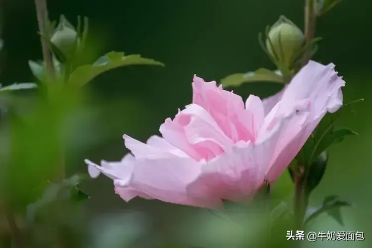 小雪祝福古诗词有哪些（6首小雪节气古诗）