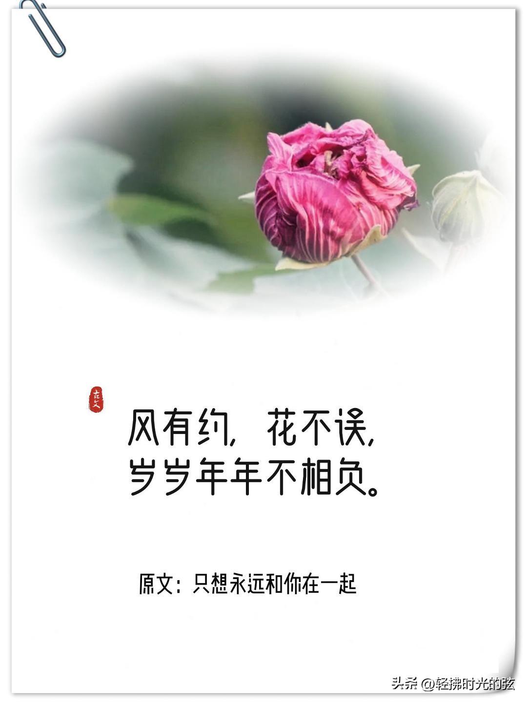 神仙经典诗词有哪些（十四句经典神仙诗句）