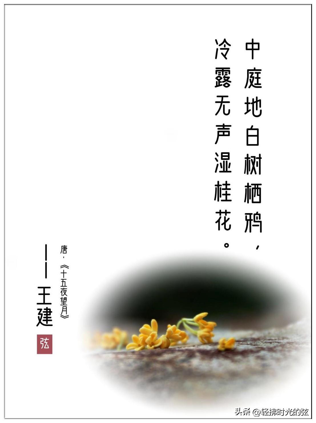 冷露湿桂花，月是故乡明（十三首白露古诗词）