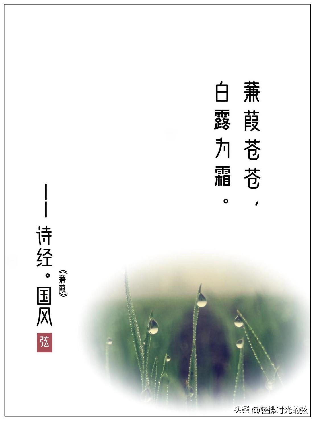 冷露湿桂花，月是故乡明（十三首白露古诗词）