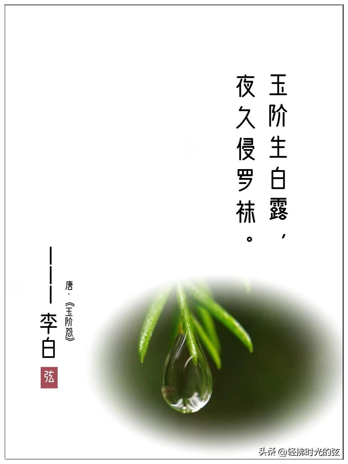 冷露湿桂花，月是故乡明（十三首白露古诗词）