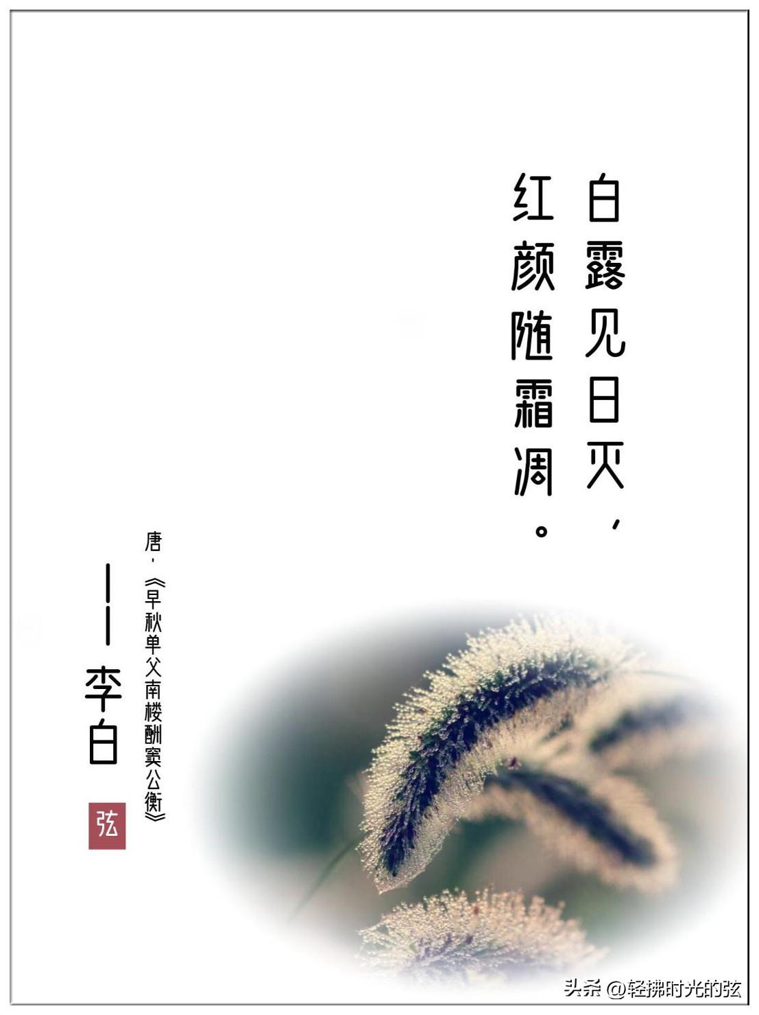 冷露湿桂花，月是故乡明（十三首白露古诗词）