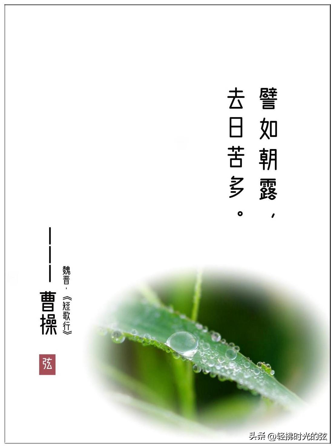 冷露湿桂花，月是故乡明（十三首白露古诗词）