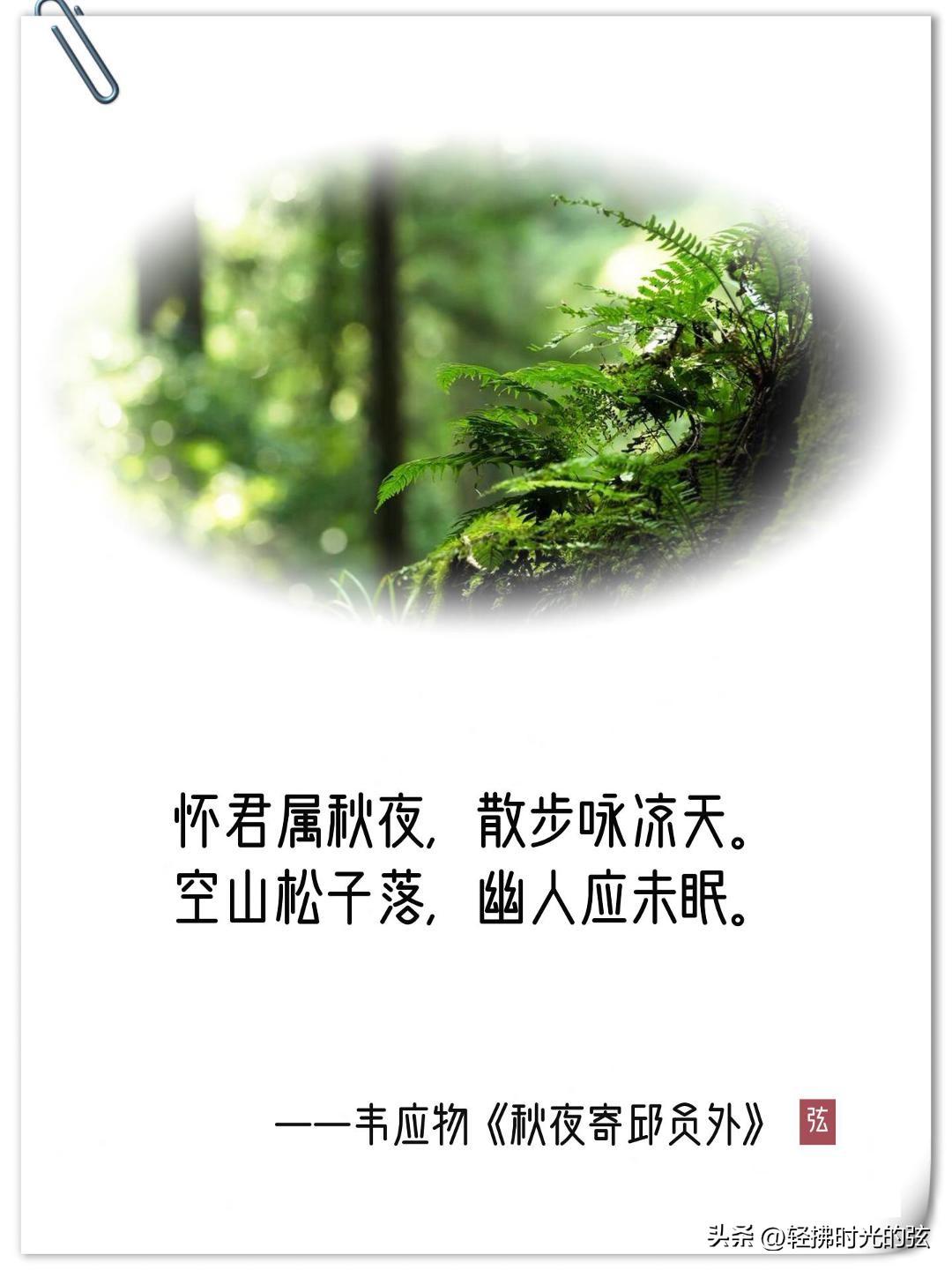 山水淡静，时光流转（诗人韦应物经典诗词八首）