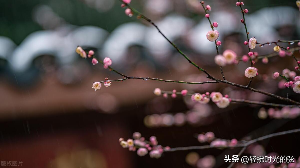 晴雪落长松，雪满长安道（36句唯美大雪诗词）