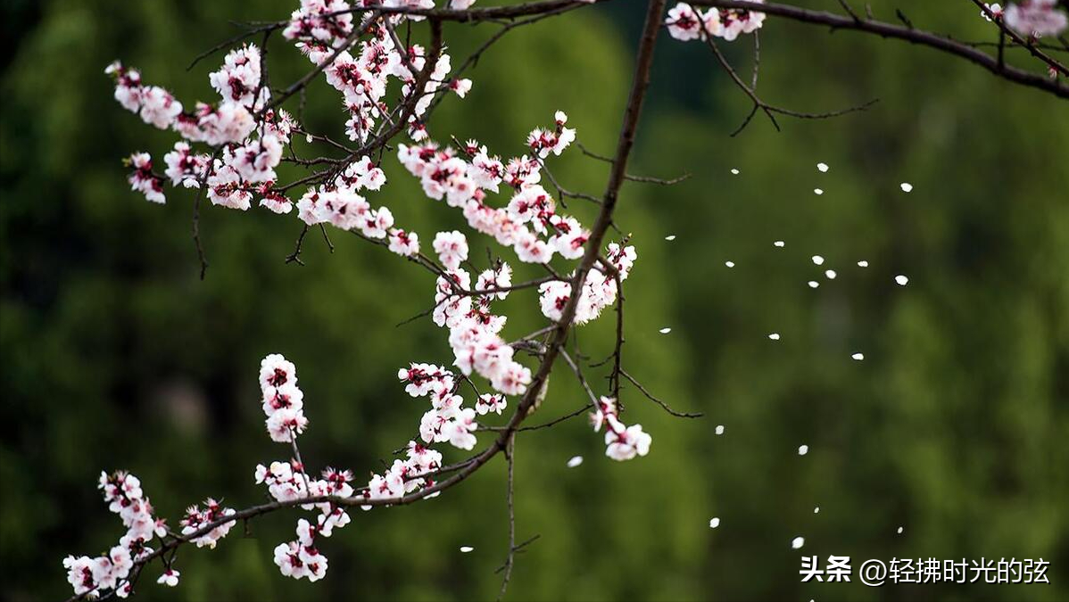 王维著名诗词有哪些（王维经典诗词12首）