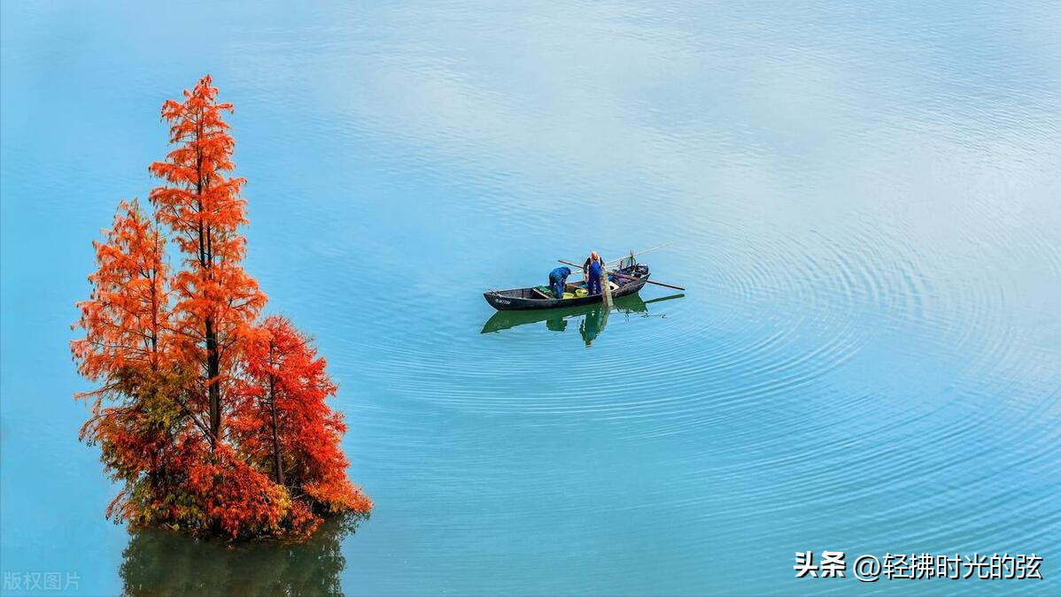 歌颂洛阳著名诗词（十首洛阳经典诗词）