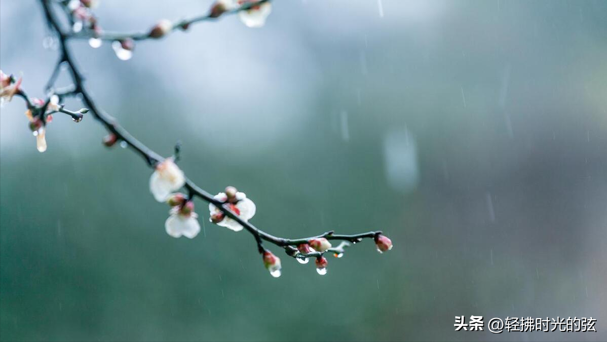 烟雨著名诗词名句（36句烟雨经典诗词）