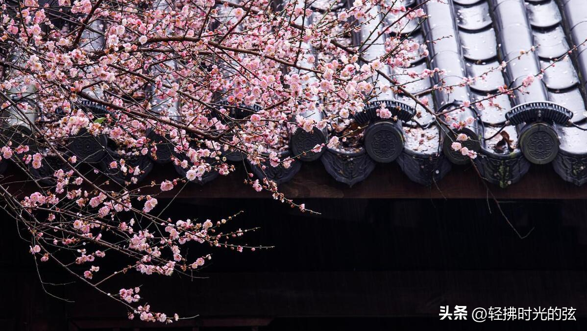 烟雨著名诗词名句（36句烟雨经典诗词）