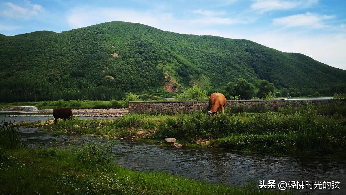 人生无常，世事沧桑（13首治愈古诗词）