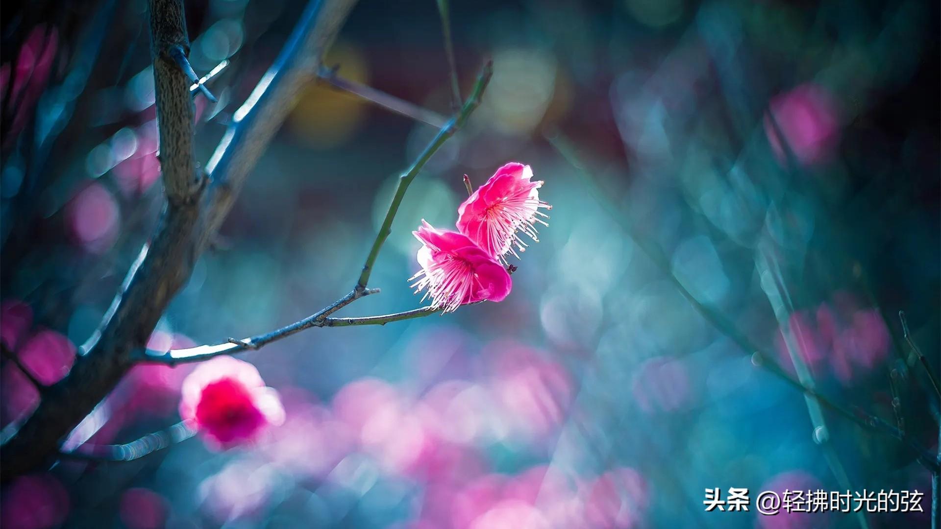 山抹微云，乱红如雨（婉约词人秦观经典名篇六首）