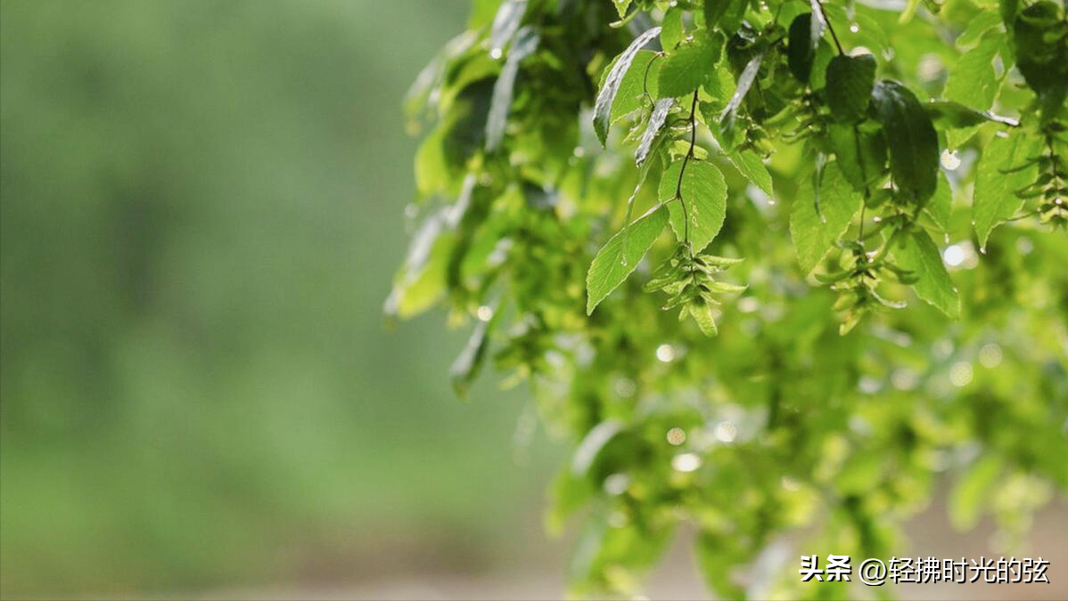 夏日著名诗词名句（十首夏日雨后诗词）