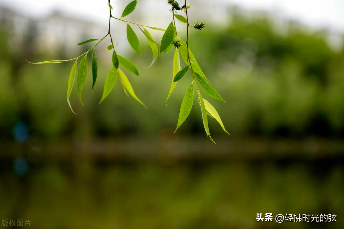 欧阳修著名诗词有哪些（欧阳修经典诗词13首）