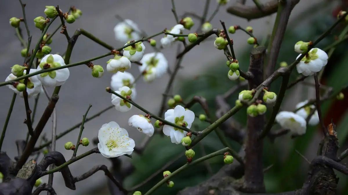 相思意境经典诗词（古诗词里38种入骨相思）