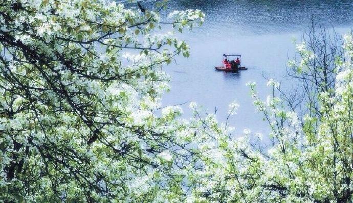 描写夏天的古诗词（意境夏天经典诗词名句）