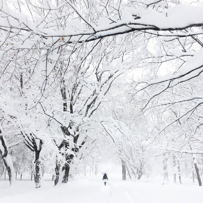 雪景经典古诗大全（描写雪景的唯美古诗词）