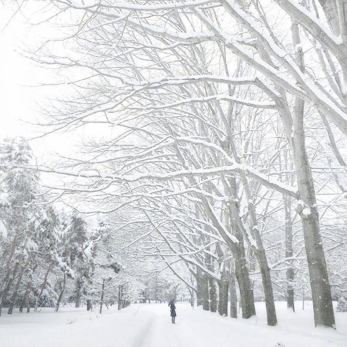 雪景经典古诗大全（描写雪景的唯美古诗词）