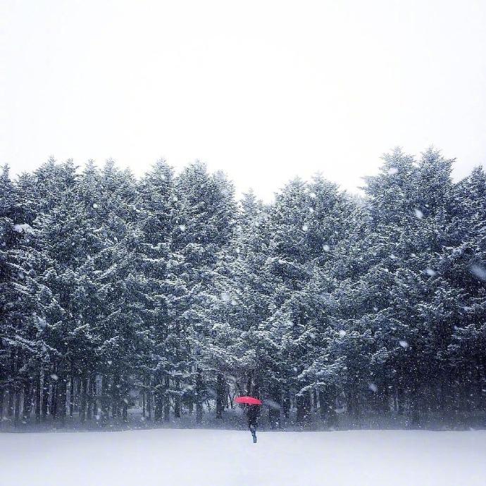 雪景经典古诗大全（描写雪景的唯美古诗词）