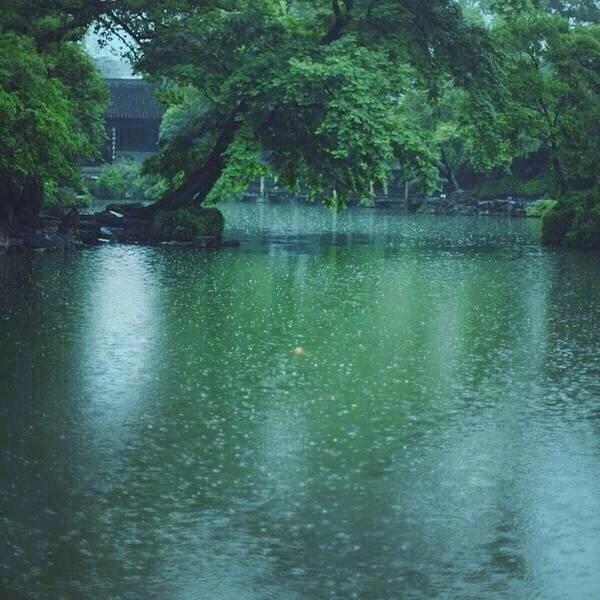 细雨经典古诗大全（八首关于细雨的古诗词精选）