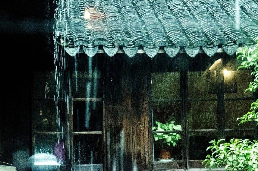 细雨经典古诗大全（八首关于细雨的古诗词精选）