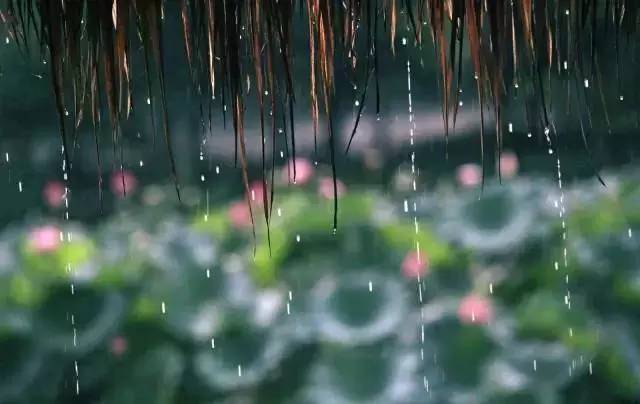 细雨经典古诗大全（八首关于细雨的古诗词精选）