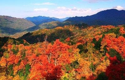 描写山清水秀的唯美古诗句（赞美青山绿水的古诗）