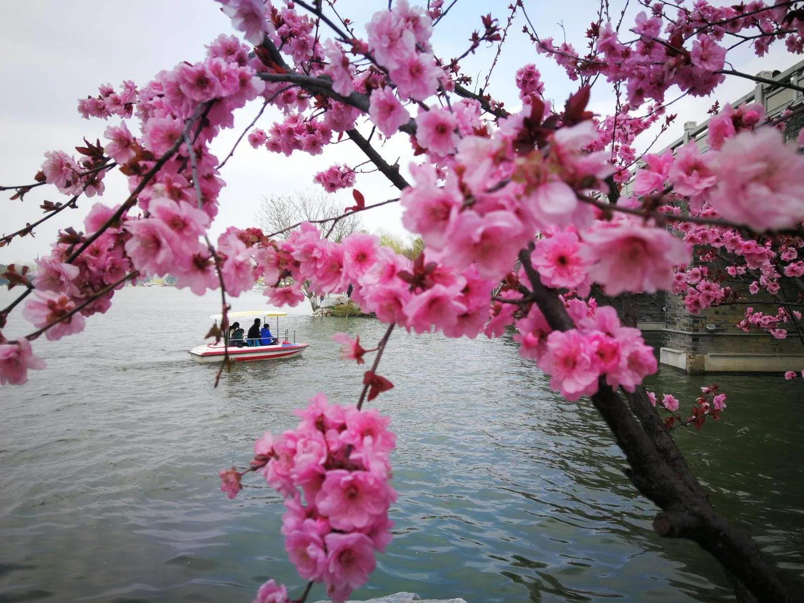 夏日唯美古诗大全（60首绝美的夏日诗词）