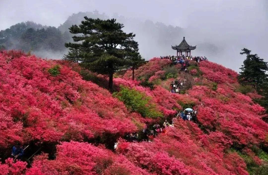 夏日唯美古诗大全（60首绝美的夏日诗词）