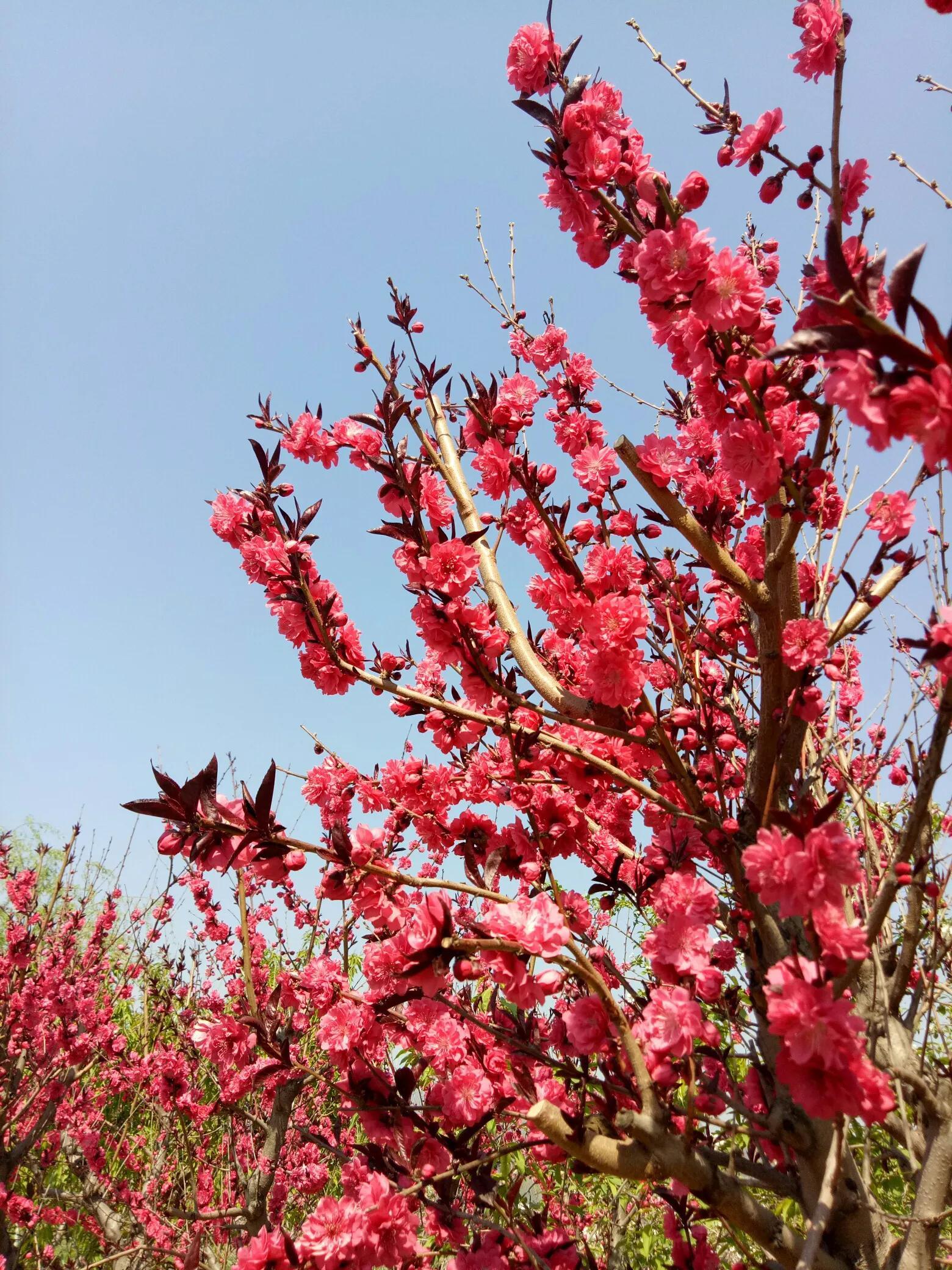 夏日唯美古诗大全（60首绝美的夏日诗词）