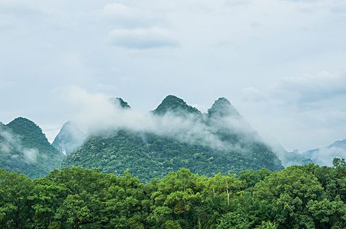 大自然的美景初中作文（《迷人的美景》）